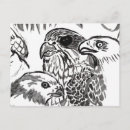 Search for monochrom postcards Black white
