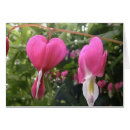 Recherche de ouvrez le coeur Amour