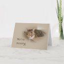 Search for calico invitations Kitty