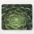 Search for complexity mousepads Background