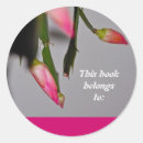 Recherche de bourgeons autocollants Botanique