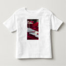 Search for shanghai tshirts Asia