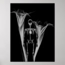 Search for xrays posters Skulls