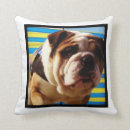 Search for british bulldog pillows English