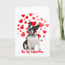 Search for boston terrier valentine cute