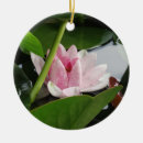Search for photography ornaments Floral
