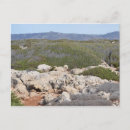 Search for cyprus postcards Nature