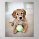 Recherche de foyer sur le premier plan posters Regarder l'appareil photo
