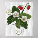 Recherche de nourriture biologique posters Nature