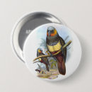 Recherche de oiseau vintage badges Tropical