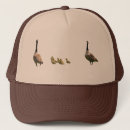 Search for goose hats Wildlife