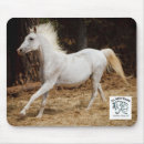Search for equines mousepads Horse