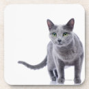 Recherche de chat dessous de verres Nature