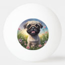Recherche de chiot balles ping pong Adorable
