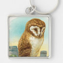 Search for the barn owl keychains Birds of prey