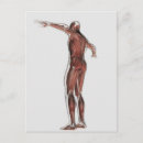 Recherche de articulé cartes postales Articulations humaines