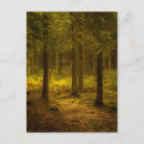 Search for light wood postcards Trees