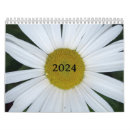 Search for daisy calendars daisies