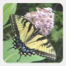Search for yellow butterfly stickers Summer