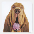 Search for one eye stickers Vertical