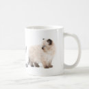 Search for ragdoll mugs Kitten
