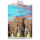 Search for elephant flasks African