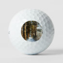 Search for snow golf balls Forest