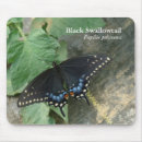 Search for butterfly mousepads Swallowtail
