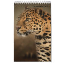 Search for leopard calendars Jaguar