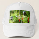 Recherche de paires casquettes Oiseau