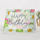 Search for orange daisies cards Colourful