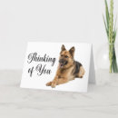 Search for german shepherd cards Dog