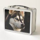 Search for husky lunch boxes Animal