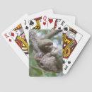 Search for sloth playing cards Rainforest