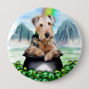 Recherche de terriers badges Chiens