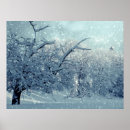 Search for winter trees posters Snow