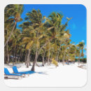Search for florida key west stickers Nature