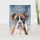 Search for boxer dog christmas cards Pets