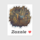 Search for elk antlers stickers Hunting