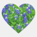 Search for bluebonnet stickers Field