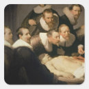 Search for dissection stickers Harmensz