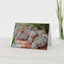 Search for echeveria postcards Flower