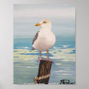 Recherche de oiseaux marins posters Goéland