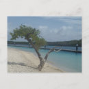 Search for curacao postcards Beach