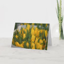 Search for apology cards Yellow