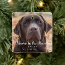 Search for unique pet memorials Forever in our hearts