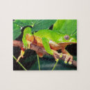 Recherche de monkey puzzles Faune