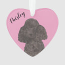 Recherche de caniche noir ornements Noël