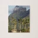 Recherche de scènes puzzles Palmier