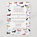 Search for dachshund weddings Animal